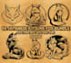 create high quality kitsune fox logo