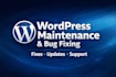 handle wordpress maintenance, fixes, and support