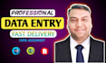 fast data entry, web research, excel and copy paste