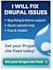 create, maintain, upgrade and migrate drupal websites