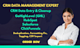 do CRM data entry, cleanup, and deduplication