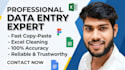 do expert data entry and excel data cleaning