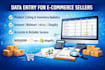 expert data entry services for online sellers