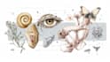 do medical and scientific illustrations