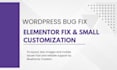 fix wordpress issues or customize your page fast