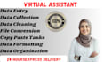 do data entry, data cleaning, data searching and conversion