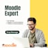 set up moodle and customize plugins, themes