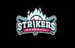 design unique baseball team logo