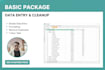 handle excel data entry and spreadsheet tasks