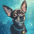 make your pet portrait into cute disney style illustration