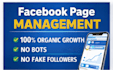 do facebook page management and optimization services