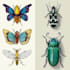 do colour insects illustration