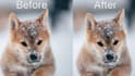 improve, upscale, denoise, and enhance your video