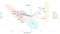 perform advanced statistical data analysis in r, python, and excel