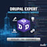 develop, fix, and customize drupal websites professionally