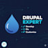 provide expert drupal development, customization, and bug fixing