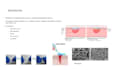 create clear academic and research presentation slides