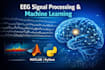 analyze eeg signals using signal processing and machine learning techniques