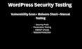 do wordpress security testing and vulnerability scan