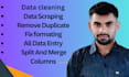 do fast data entry data cleaning and lead generation