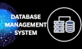 handle database management, queries, and optimization