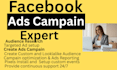be your face book ads campaign manager for high sales