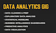 be your go to data analytics lead person