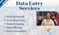 do fastest data entry, copy paste, and web research