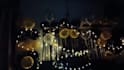 provide professional event manager