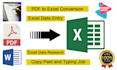 expert PDF coversion and advanced excel formatting services