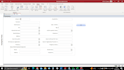 design and develop a professional microsoft access database application