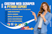 build web scraper python automation data extraction handle web scraping