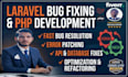 fix laravel bugs, errors and API issue