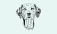 custom vector pet or animal in unique digital line art style