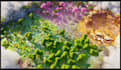 create epic minecraft maps for brands and servers