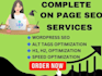 do seo optimization for your wordpress website