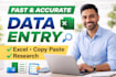 do fast and accurate data entry, copy paste and web research