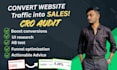 audit your website to maximize conversions and leads