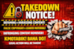 professionally remove leaked, and copyright, infringing content