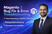 fix magento 2 bugs, errors, issues and provide support