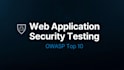 find owasp top 10 vulnerabilities in your web application