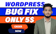 fix wordpress bugs, errors, and website issues