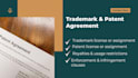 draft trademark or patent licensing and assignment agreements