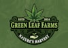 design modern cannabis weed marijuana logo