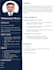 design and optimize a professional CV and resume