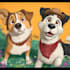 draw pet portrait your pets