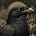 draw dark art animal illustration