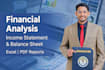 do professional financial analysis and financial ratios in excel