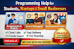 provide programming help for students, startups and small business
