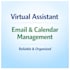 manage your emails and calendar as a virtual assistant